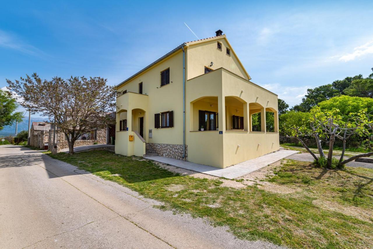 Apartment Marija Novigrad  Exteriér fotografie