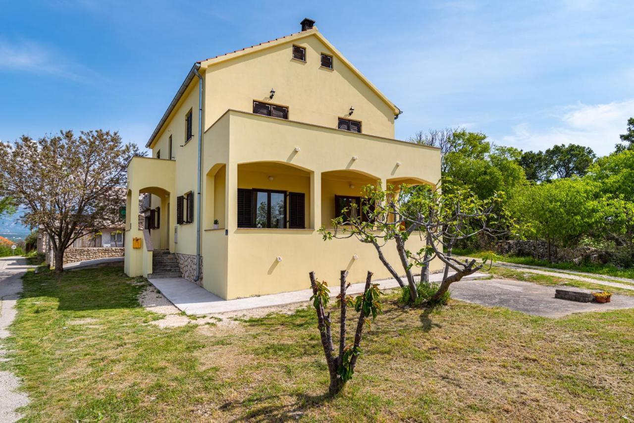 Apartment Marija Novigrad  Exteriér fotografie
